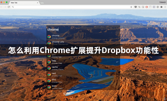 怎么利用Chrome扩展提升Dropbox功能性